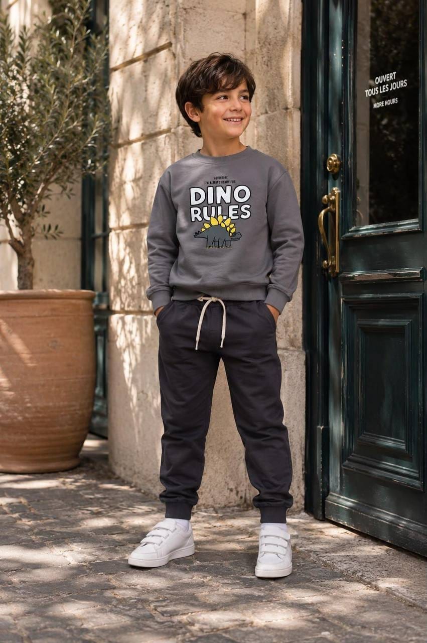 Erkek Çocuk Dinozor Baskılı sweatshirt Ve Eşofman Takımı