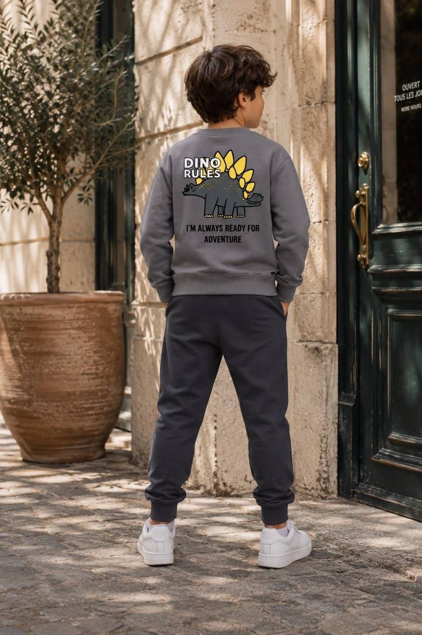 Erkek Çocuk Dinozor Baskılı sweatshirt Ve Eşofman Takımı